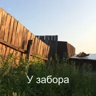 У забора