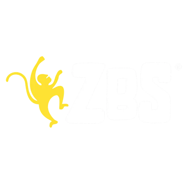 ZBS Подкаст