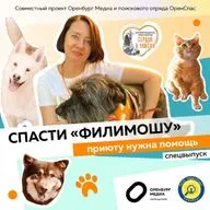Спасти «Филимошу». Приюту нужна помощь