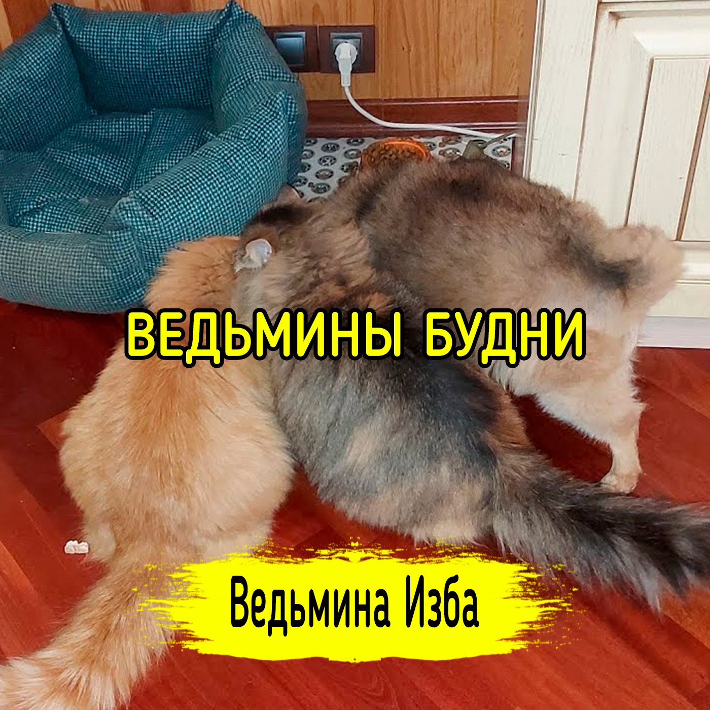 ВЕДЬМИНЫ БУДНИ. ВЕДЬМИНА ИЗБА ▶️ ИНГА ХОСРОЕВА episode artwork