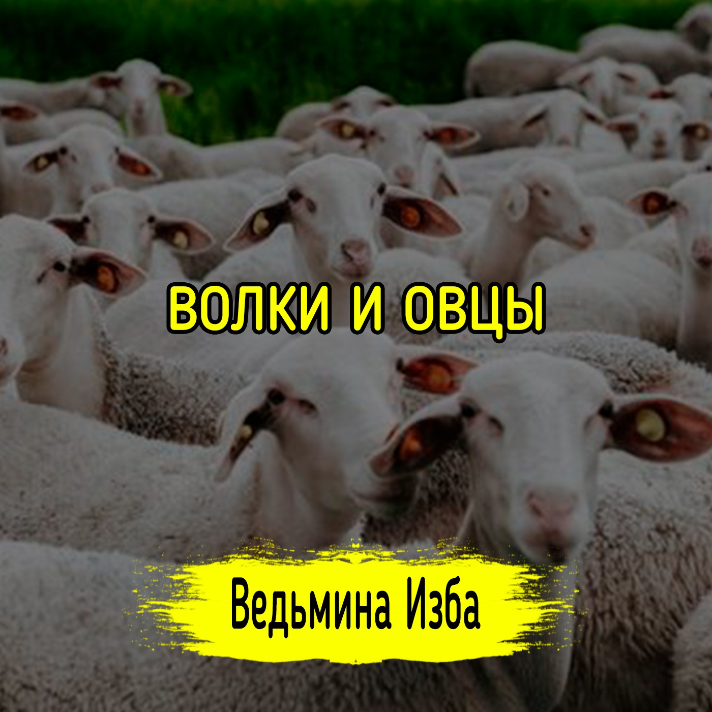 ВОЛКИ И ОВЦЫ. #ВЕДЬМИНАИЗБА ▶️ #МАГИЯ episode artwork