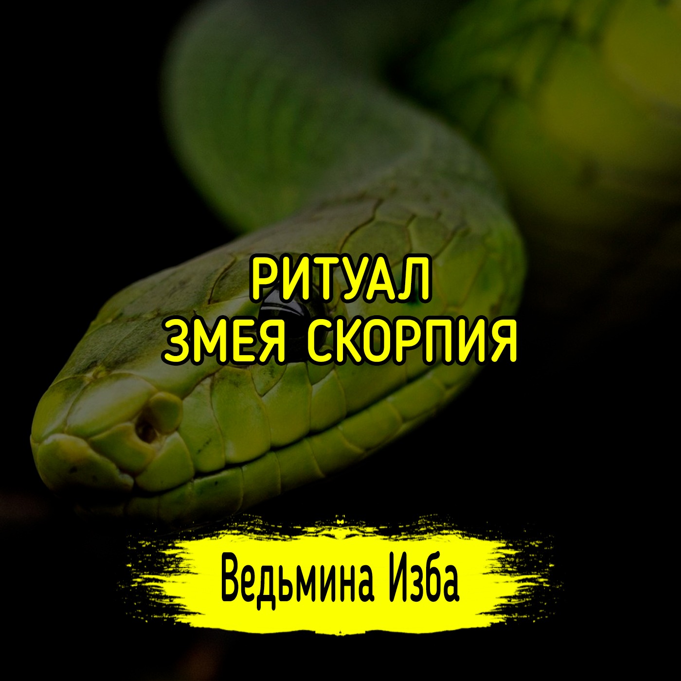 ЗМЕЯ СКОРПИЯ. ДЛЯ ВСЕХ. ВЕДЬМИНА ИЗБА ▶️ ИНГА ХОСРОЕВА episode artwork