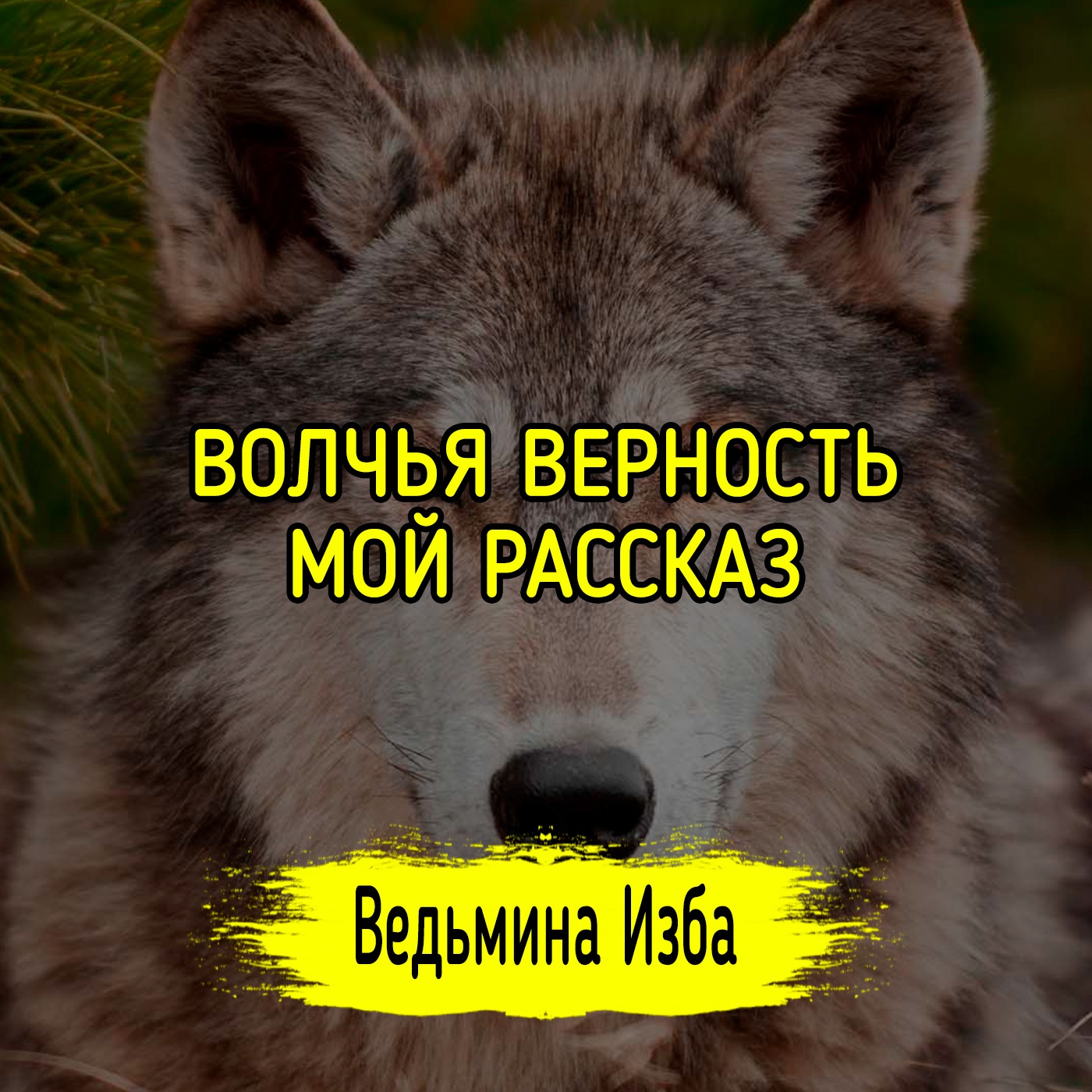 ВОЛЧЬЯ ВЕРНОСТЬ. МОЙ РАССКАЗ. ВЕДЬМИНА ИЗБА ▶️ ИНГА ХОСРОЕВА episode artwork