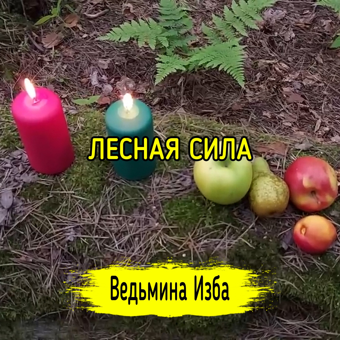 ЛЕСНАЯ СИЛА. ДЛЯ ВСЕХ. ВЕДЬМИНА ИЗБА ▶️ МАГИЯ episode artwork