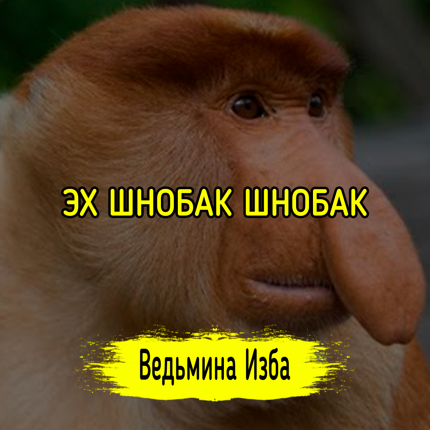 ЭХ ШНОБАК ШНОБАК episode artwork