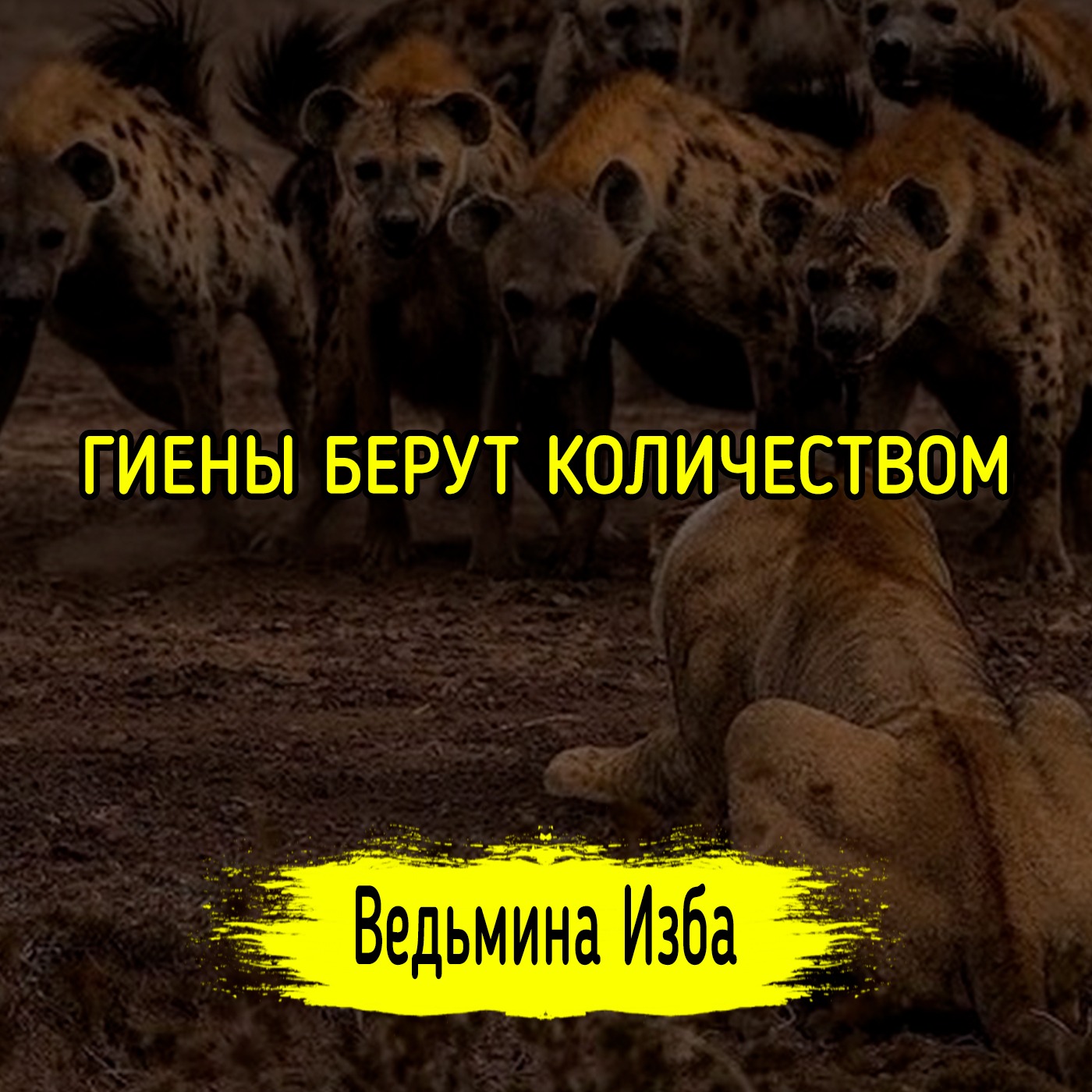 ГИЕНЫ БЕРУТ КОЛИЧЕСТВОМ. #ВЕДЬМИНАИЗБА ▶️ #МАГИЯ episode artwork