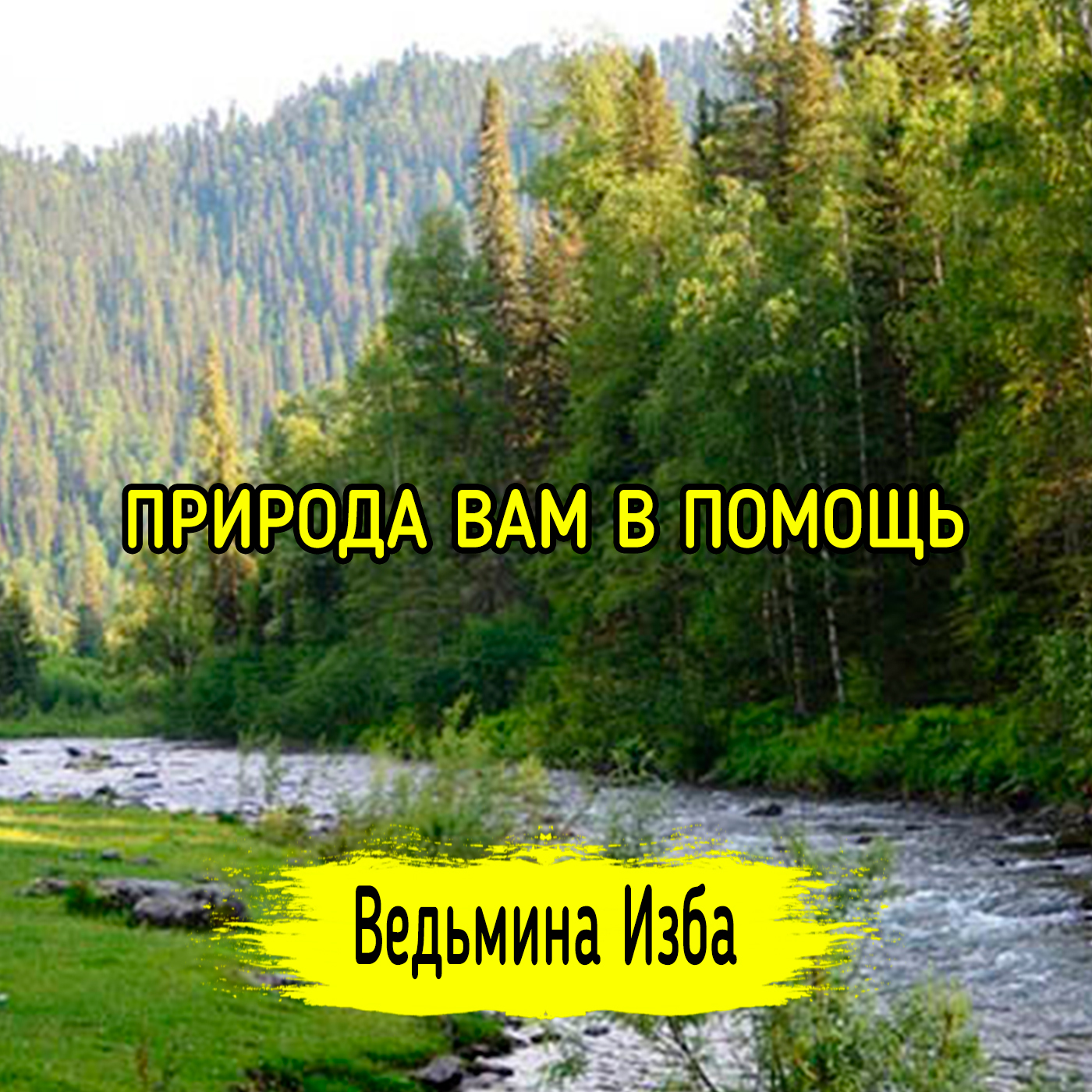 ПРИРОДА ВАМ В ПОМОЩЬ. ДЛЯ ВСЕХ. ВЕДЬМИНА ИЗБА ▶️ ИНГА ХОСРОЕВА episode artwork