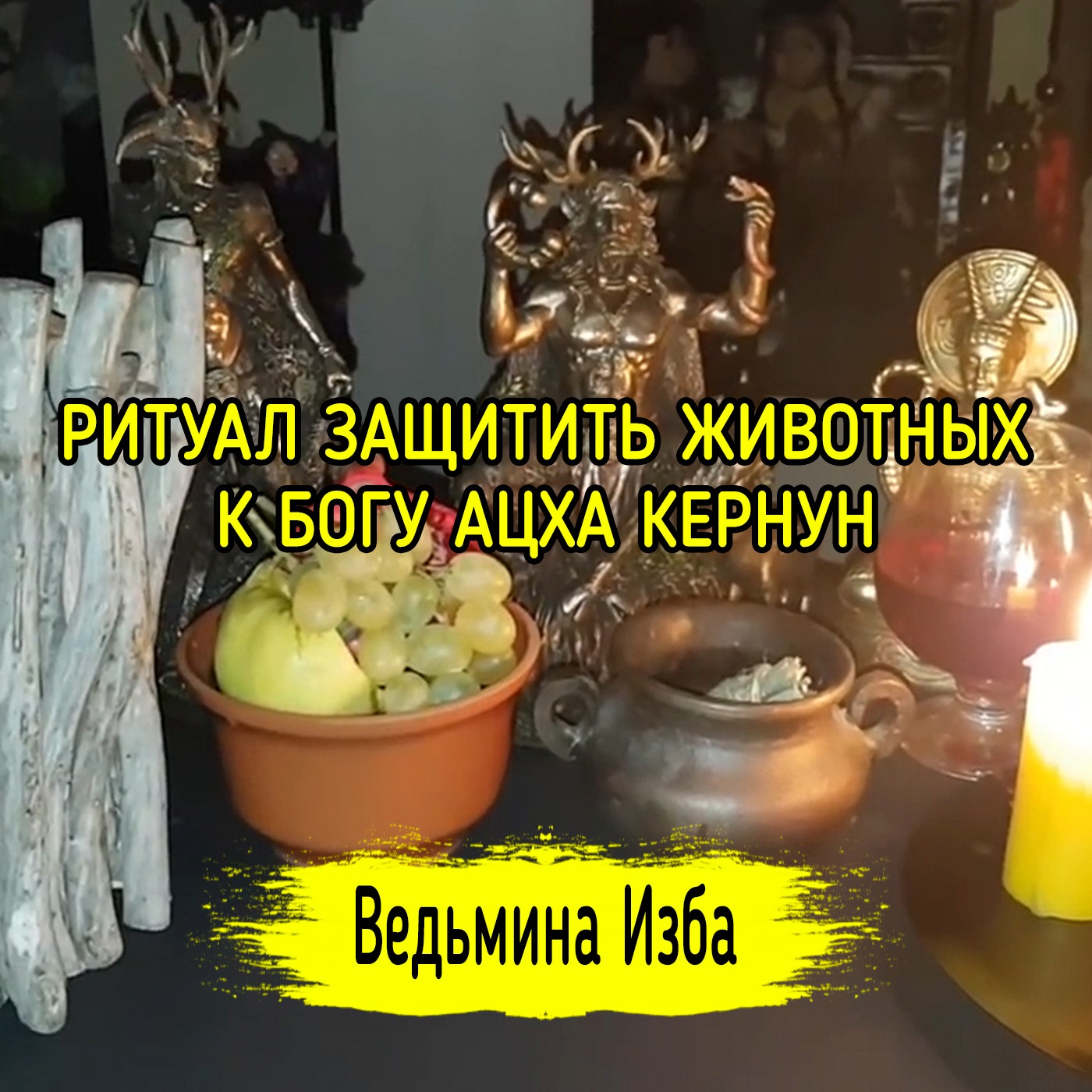 ЗАЩИТИТЬ ЖИВОТНЫХ. К БОГУ АЦХА КЕРНУН. ДЛЯ ВСЕХ. ВЕДЬМИНА ИЗБА ▶️ ИНГА ХОСРОЕВА episode artwork