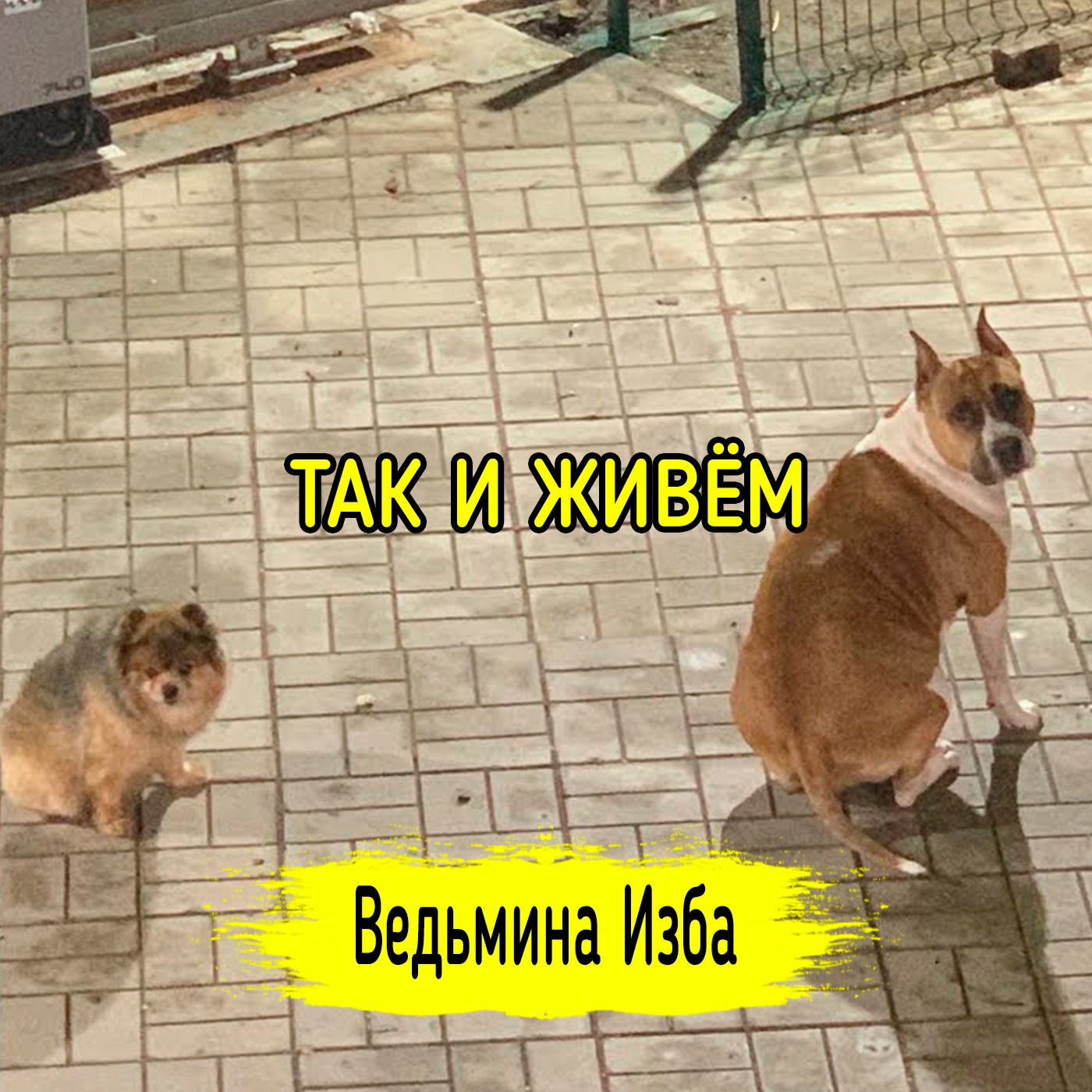 ТАК И ЖИВЁМ. ВЕДЬМИНА ИЗБА ▶️ ИНГА ХОСРОЕВА episode artwork