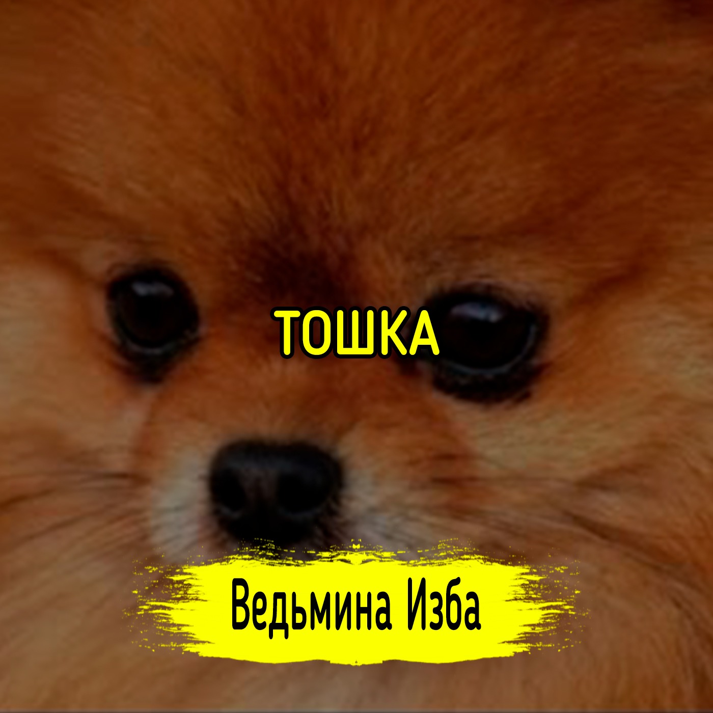ТОШКА. ВЕДЬМИНА ИЗБА ▶️ ИНГА ХОСРОЕВА episode artwork