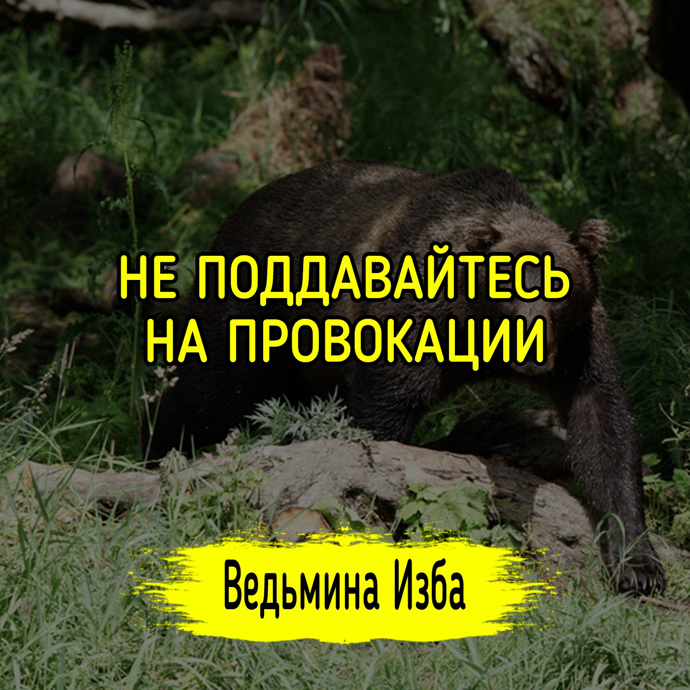 НЕ ПОДДАВАЙТЕСЬ НА ПРОВОКАЦИИ. #ВЕДЬМИНАИЗБА ▶️ #МАГИЯ episode artwork