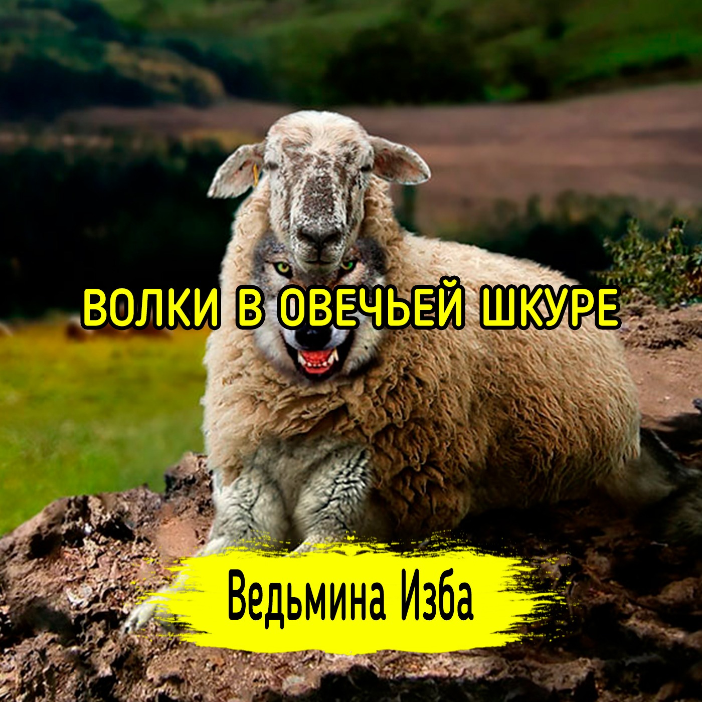ВОЛКИ В ОВЕЧЬЕЙ ШКУРЕ. #ВЕДЬМИНАИЗБА ▶️ #МАГИЯ episode artwork
