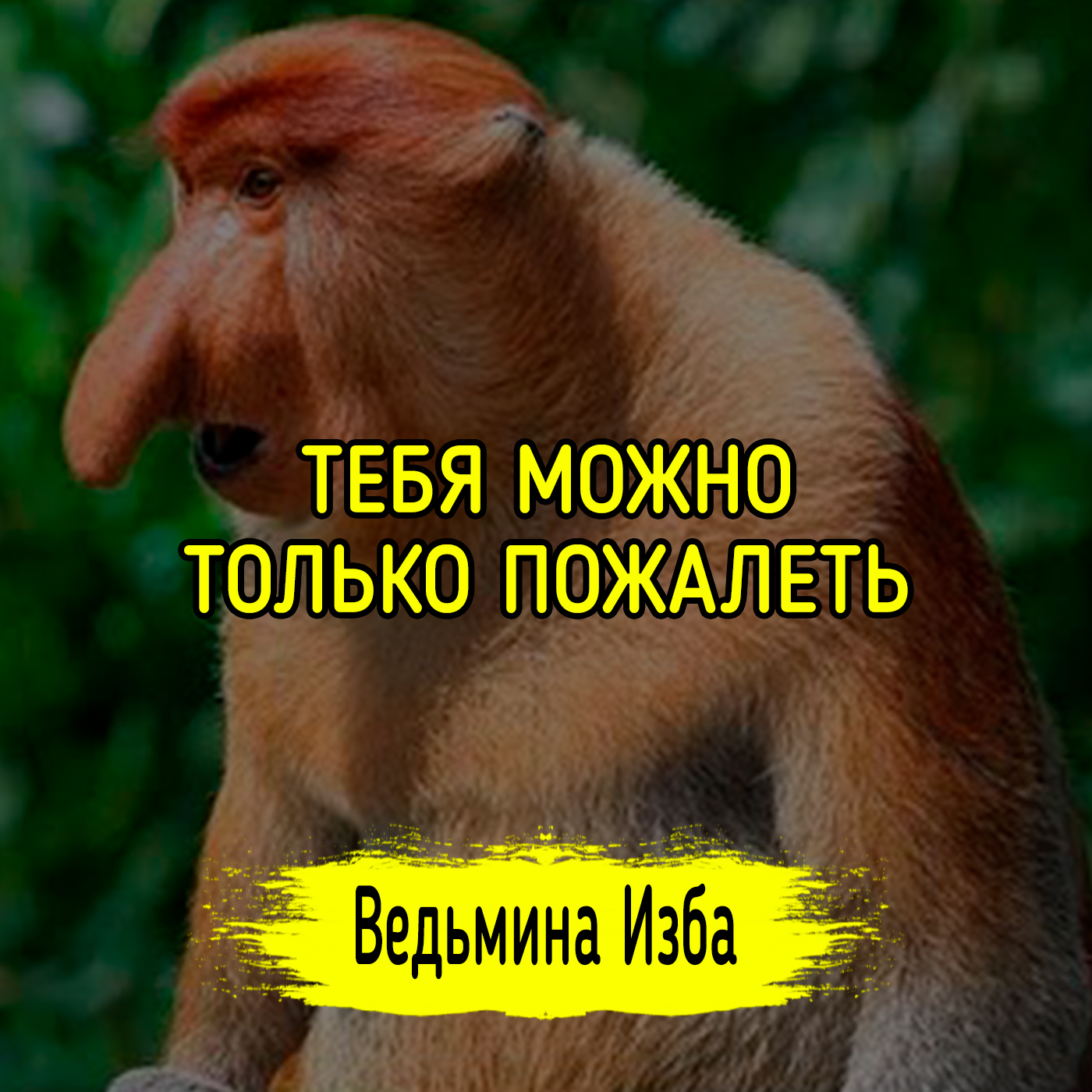 ТЕБЯ МОЖНО ТОЛЬКО ПОЖАЛЕТЬ episode artwork