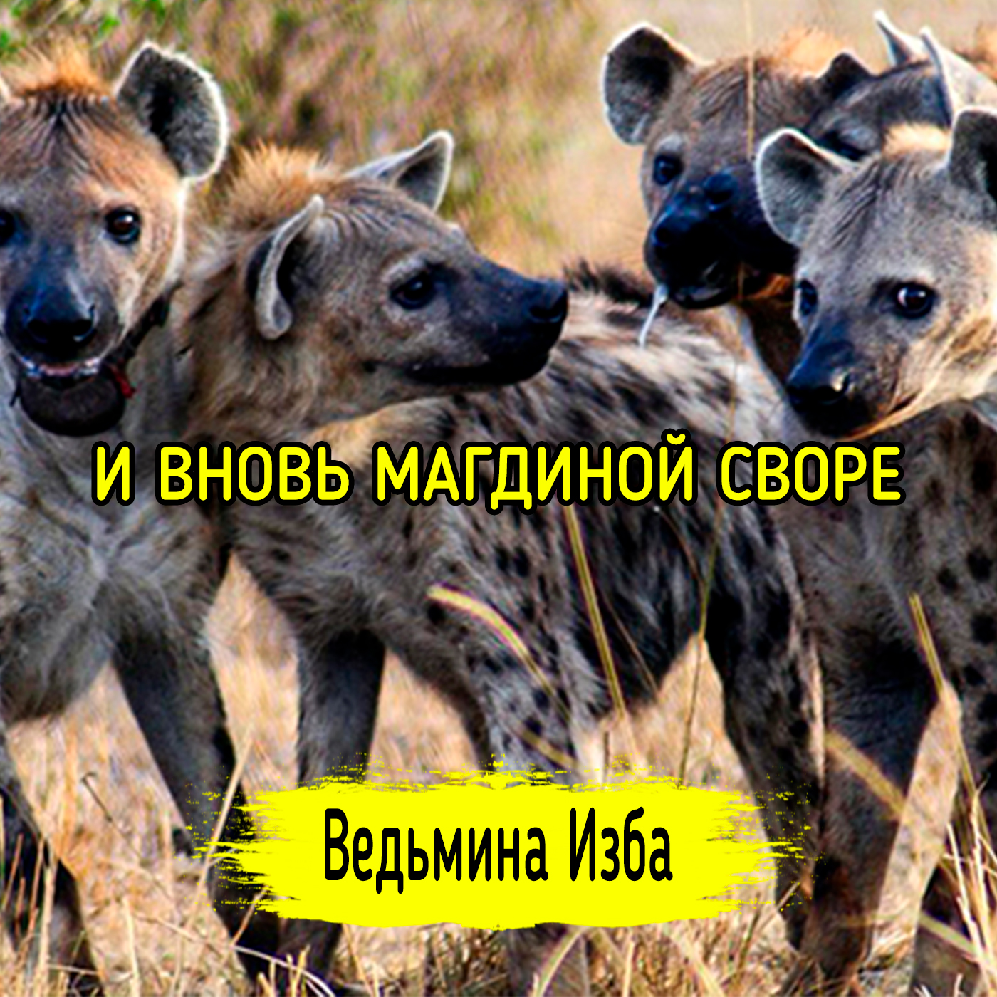 И ВНОВЬ МАГДИНОЙ СВОРЕ. episode artwork
