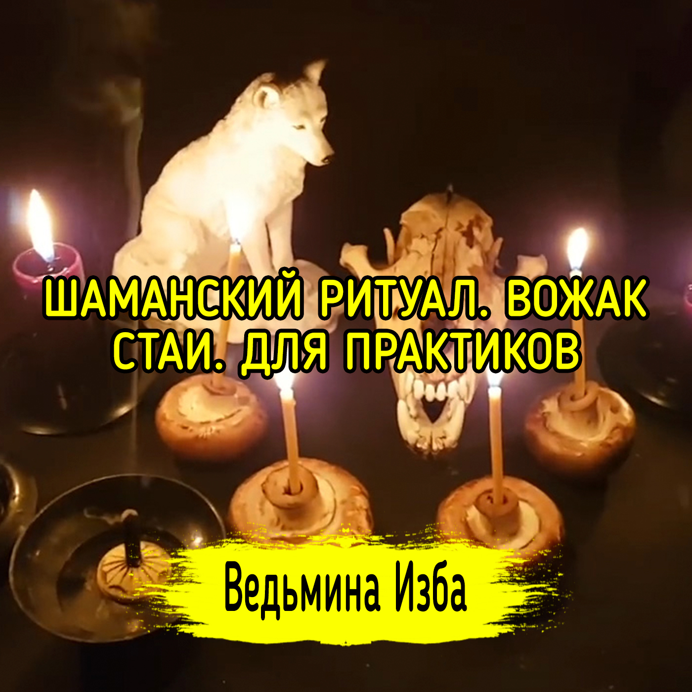ШАМАНСКИЙ РИТУАЛ. ВОЖАК СТАИ. ДЛЯ ПРАКТИКОВ. ВЕДЬМИНА ИЗБА ▶️ ИНГА ХОСРОЕВА episode artwork