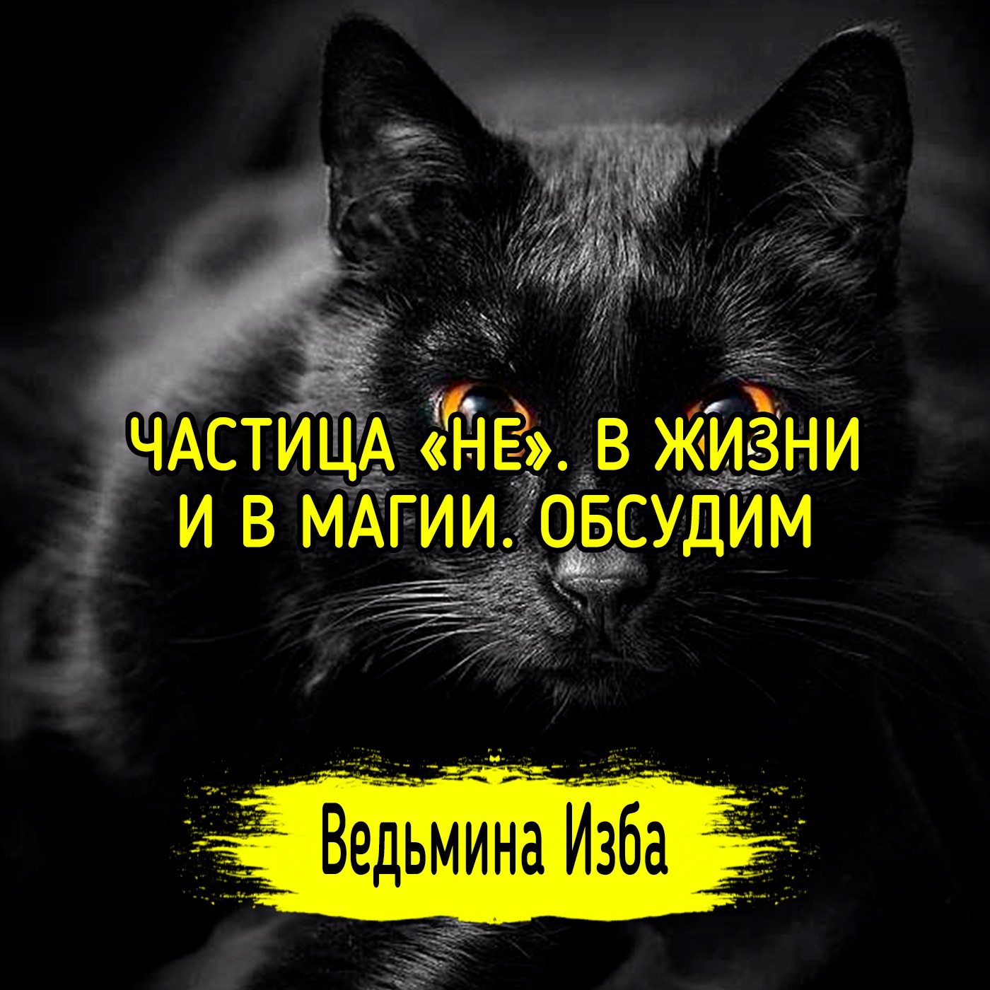 ЧАСТИЦА «НЕ». В ЖИЗНИ И В МАГИИ. ОБСУДИМ. ВЕДЬМИНА ИЗБА ▶️ ИНГА ХОСРОЕВА episode artwork