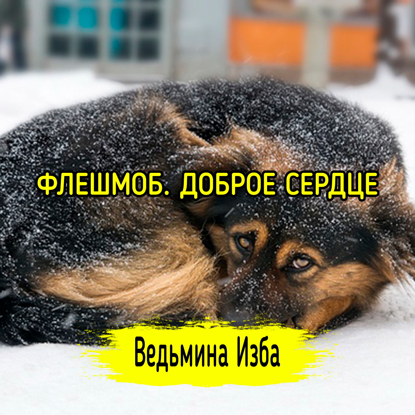 ФЛЕШМОБ. ДОБРОЕ СЕРДЦЕ. ВЕДЬМИНА ИЗБА ▶️ ИНГА ХОСРОЕВА episode artwork