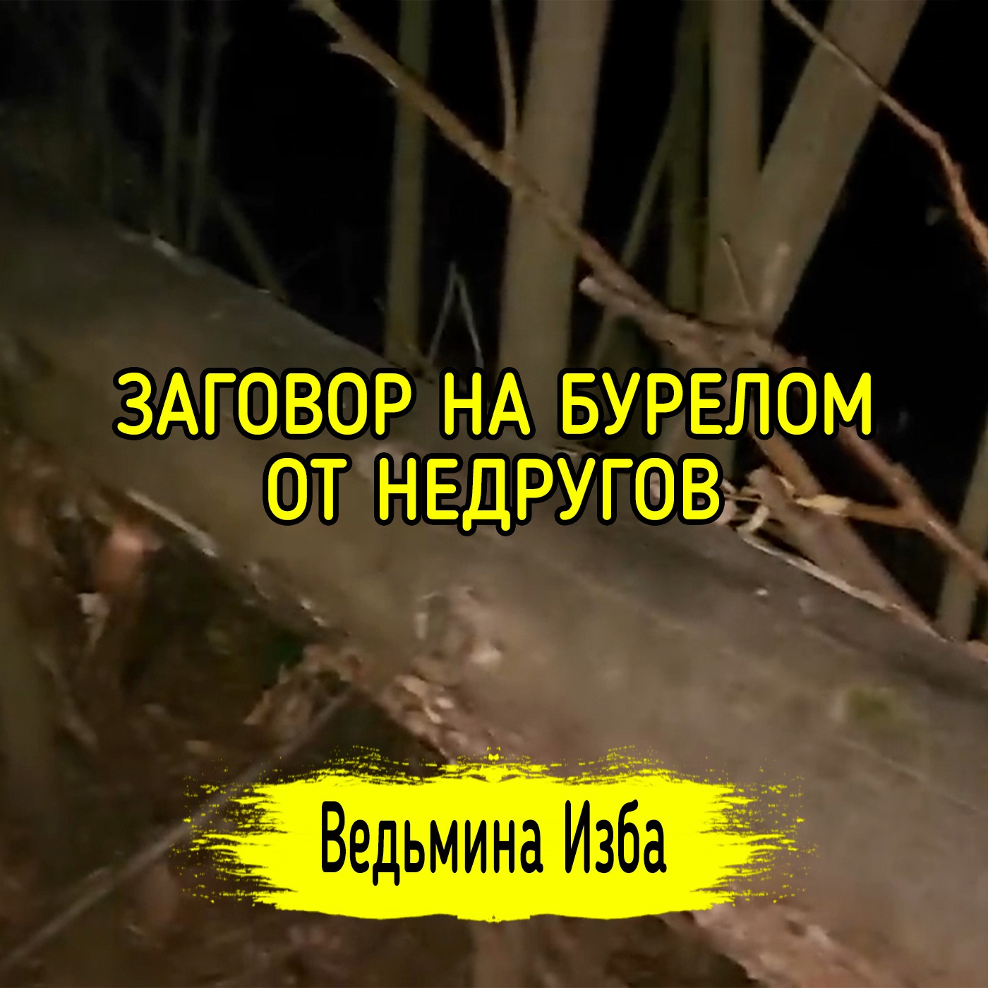 ЗАГОВОР НА БУРЕЛОМ. ОТ НЕДРУГОВ. ДЛЯ ВСЕХ. ВЕДЬМИНА ИЗБА ▶️ ИНГА ХОСРОЕВА episode artwork