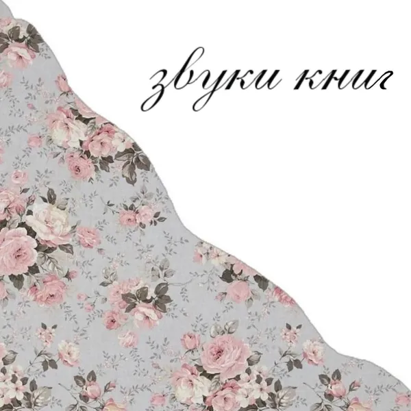 звуки книг