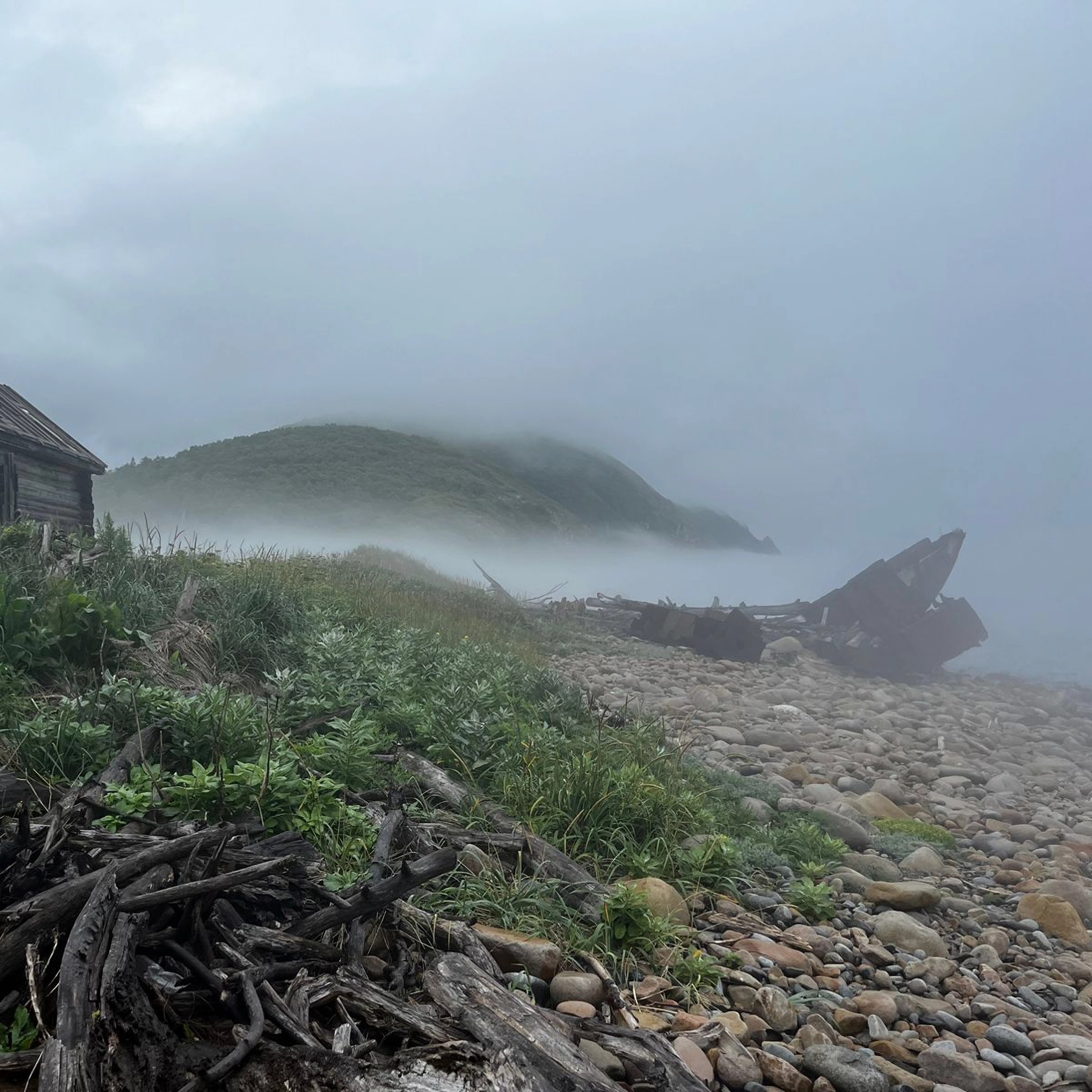 Тропическое созерцание. Две сутры из посланий Благословенного: Сутра осознанного дыхания и AN 3.102 Нимитта – сутра. Образы в сопровождении бохайской поэзии.