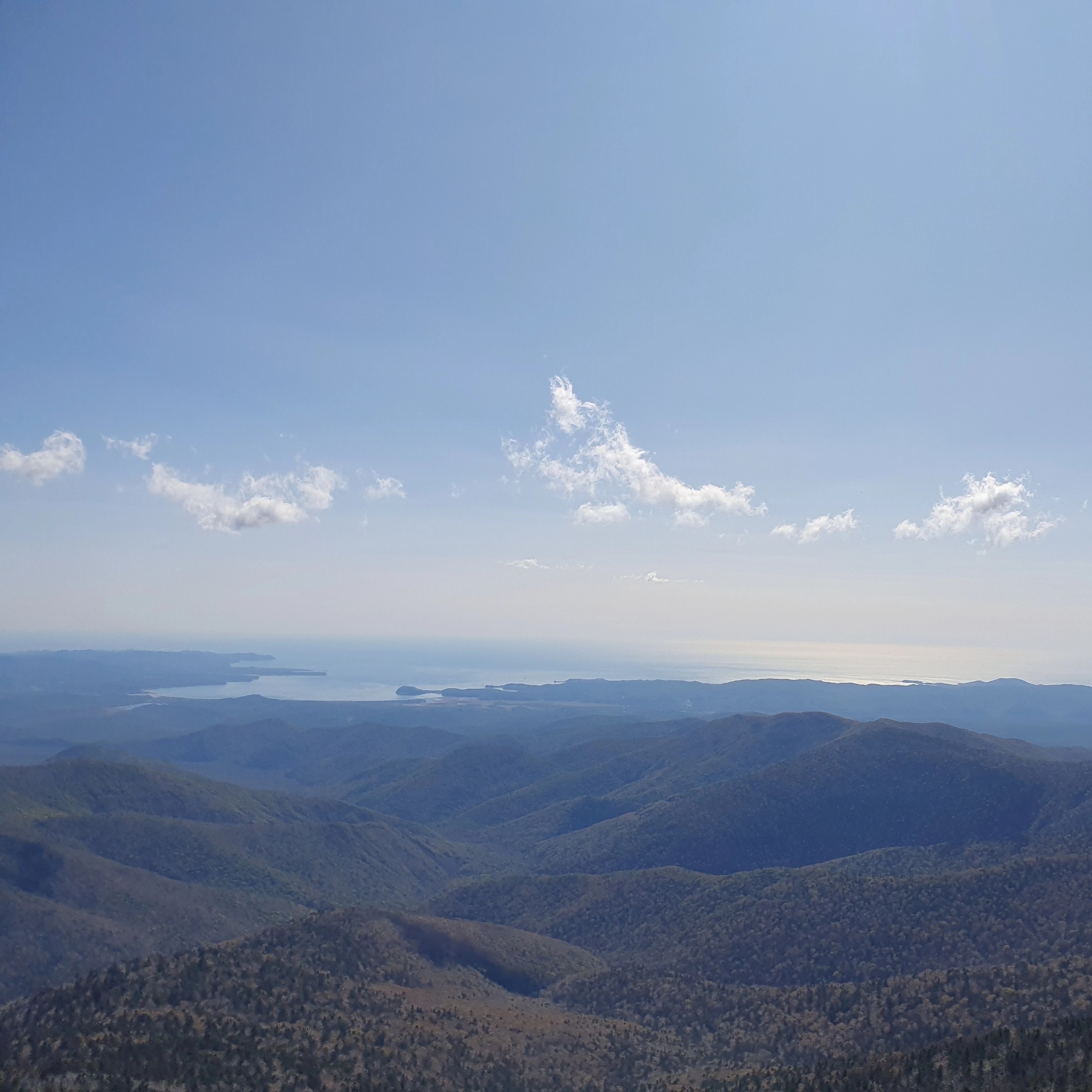 Тексты из Океана: Часть 2. AN 3.94 Сарада – сутта: Осень