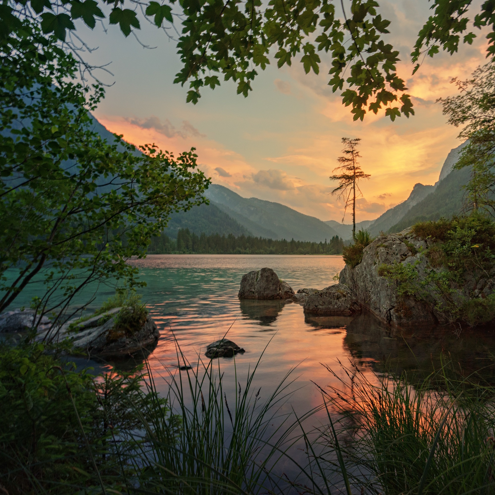 Словарь к Акутобхайе - Бесстрашию Срединного пути: 4 школы Махаяны