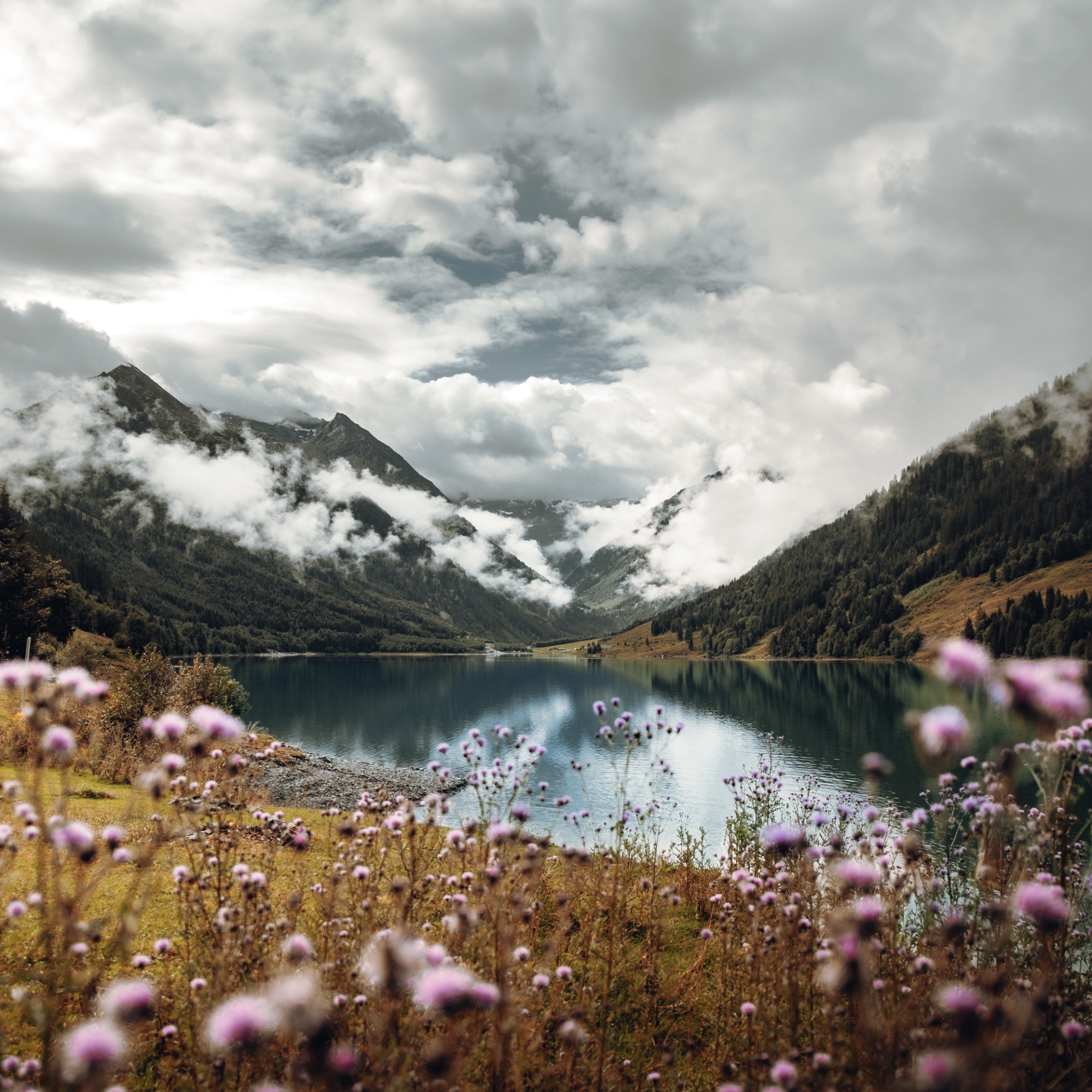 Острова Императрицы Евгении II. Цикл Солнца: Sun Eclipse & Sunrise. Часть 4: Лепестки Аматерасу