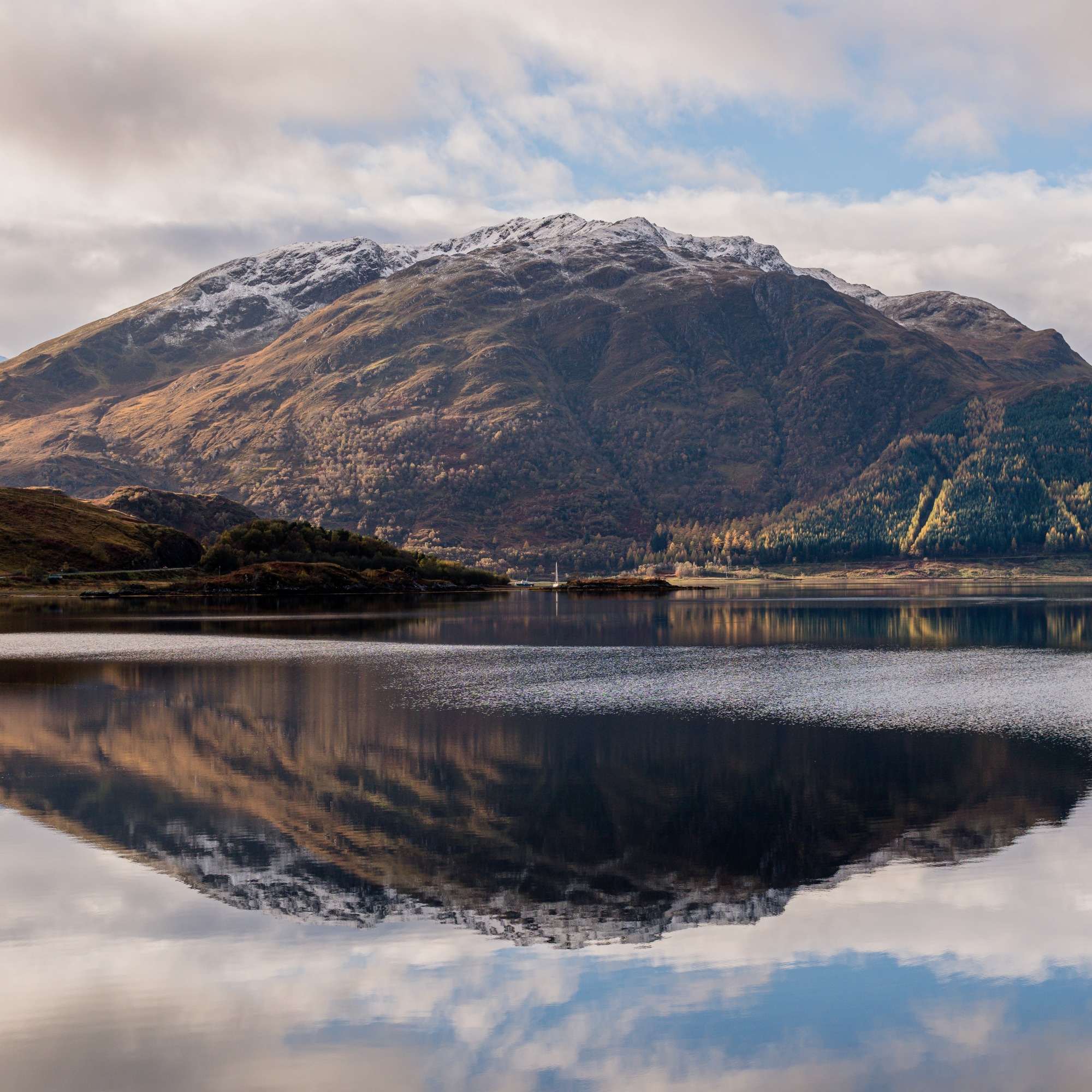 Присутствие. Встреча Хитоку и Совы