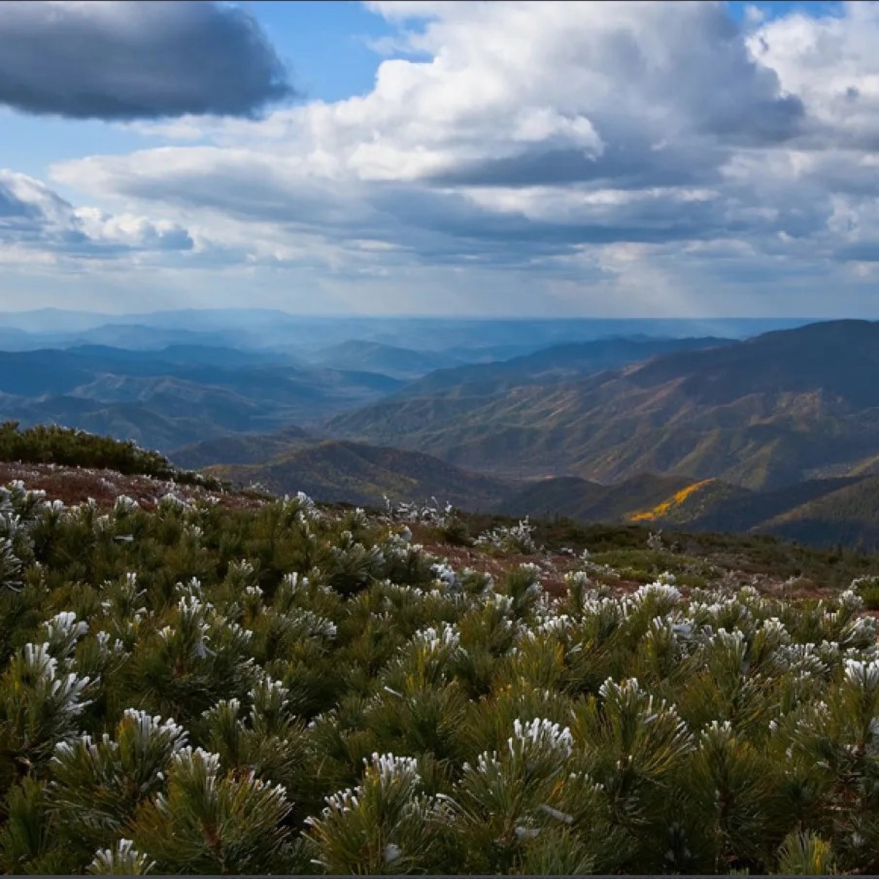 Сихотэ-Алинь 2. Андеграундо: Туманганские летописи 19 века. Намо Амида буцу!