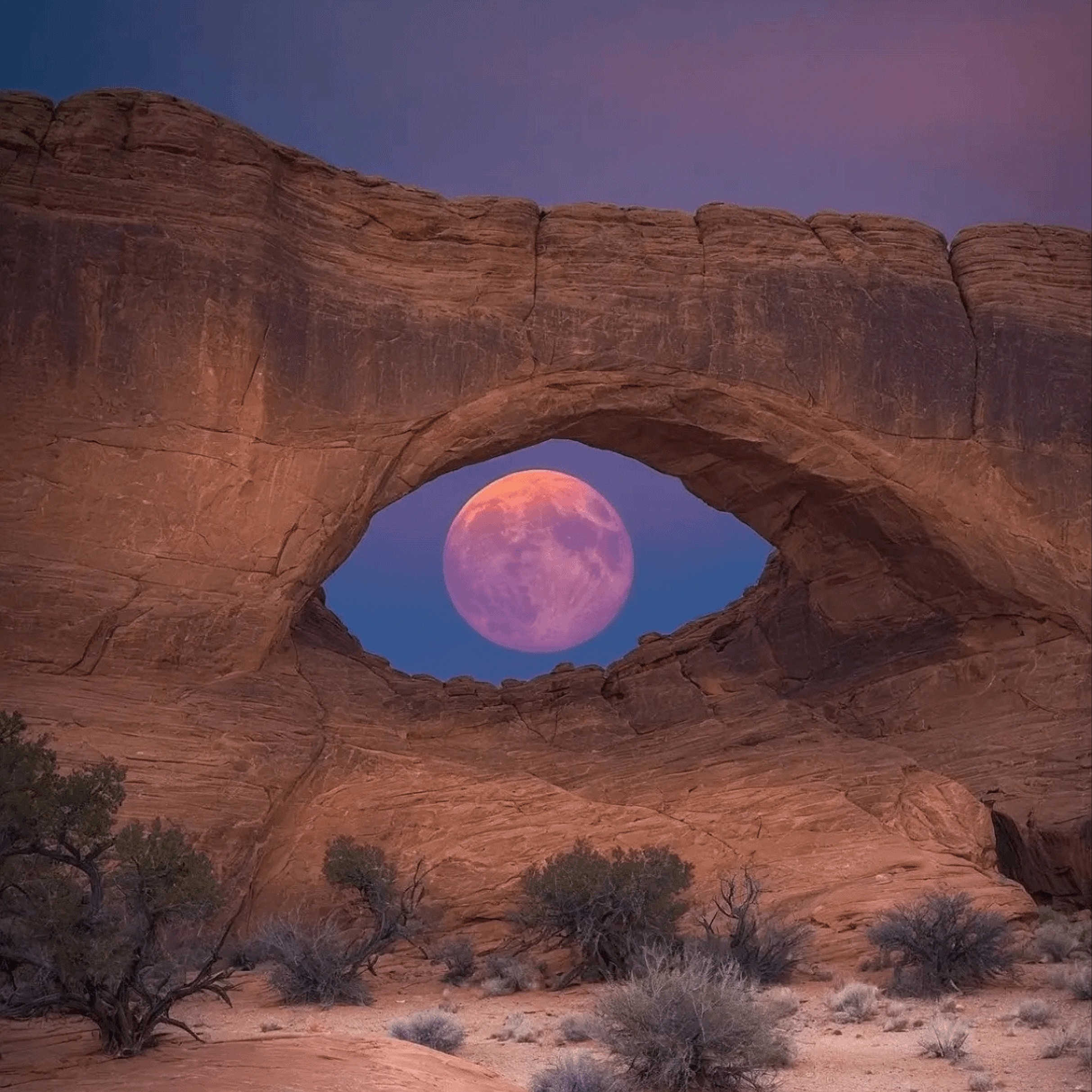 Акутобхайя (Бесстрашие) в Мерцании матрик