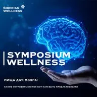 Пища для мозга: какие нутриенты помогают нам быть продуктивными