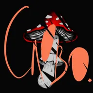 Немного о грибах