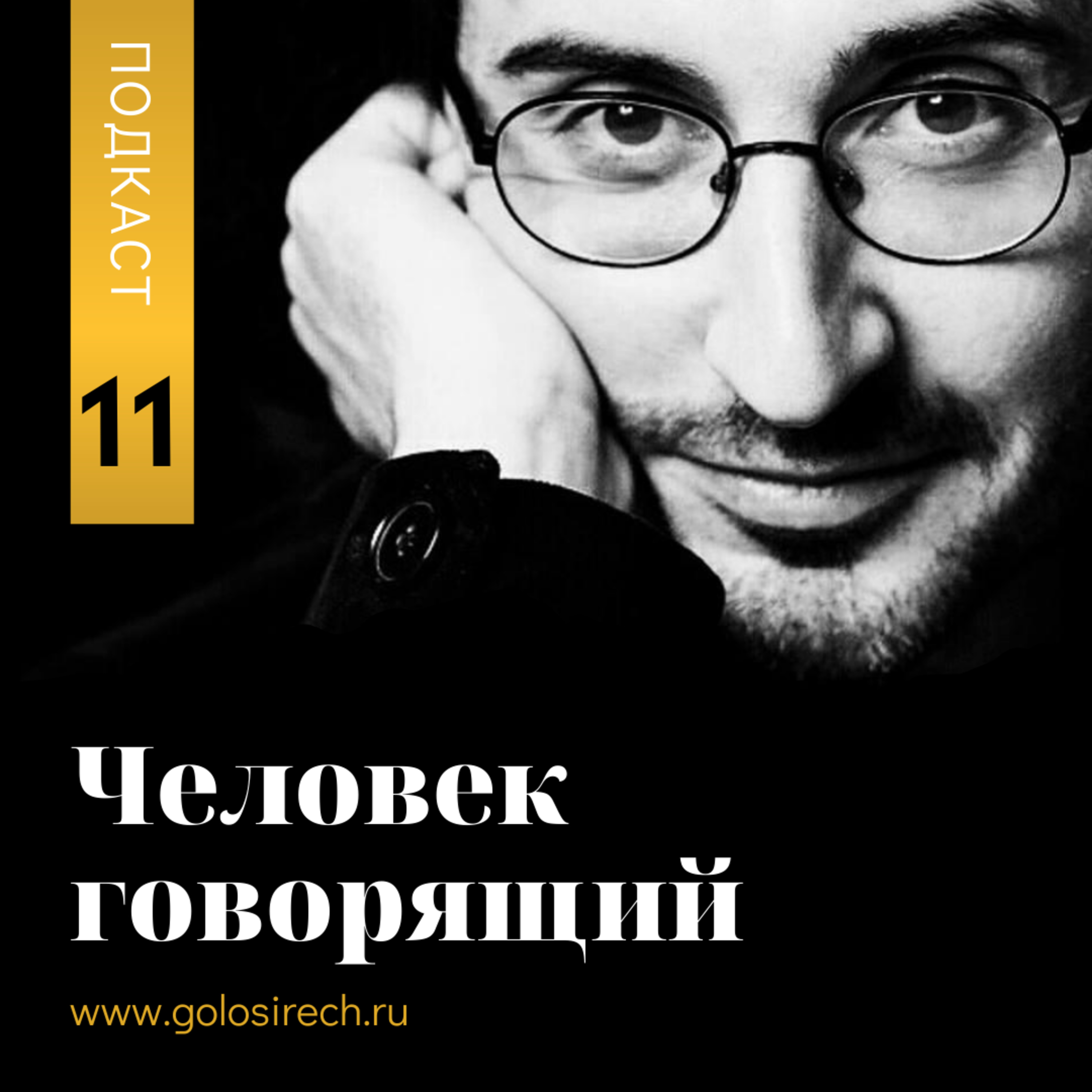 Голос и речь. Глава XI. Подкаст проекта "Человек говорящий". podcast
