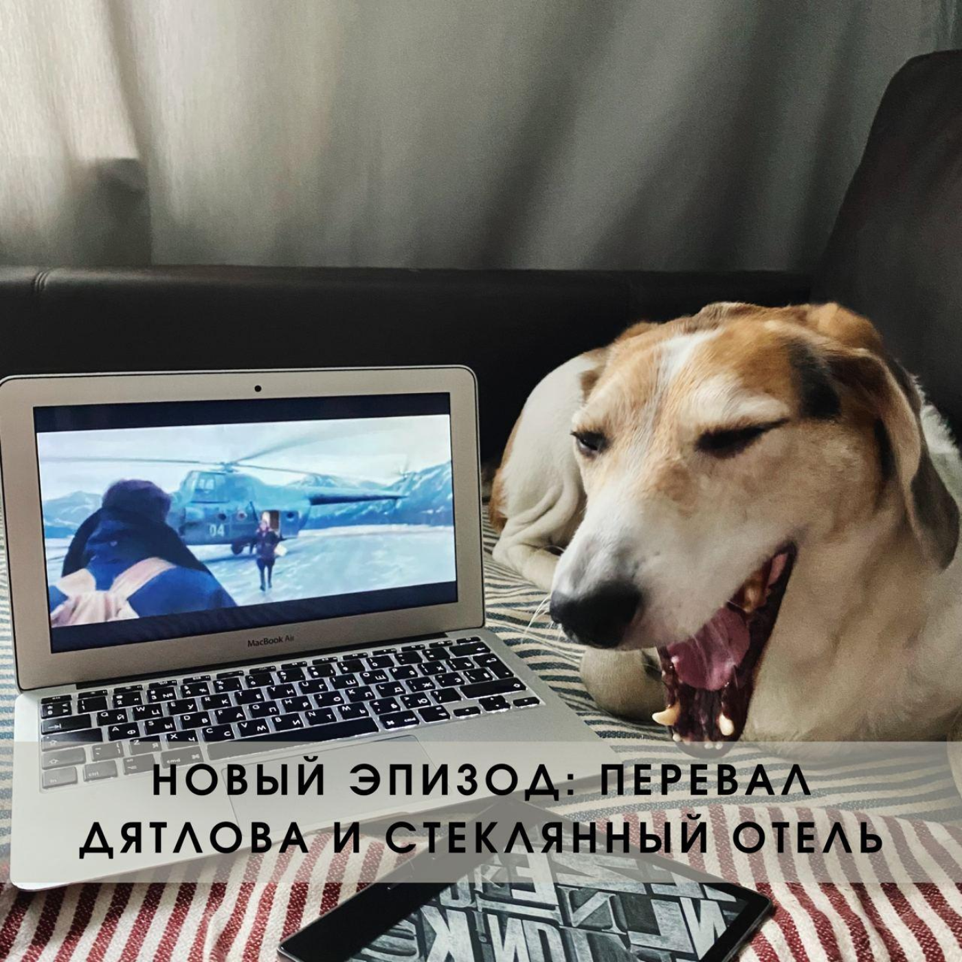 Сериал "Перевал Дятлова" и роман "Стеклянный отель" episode artwork