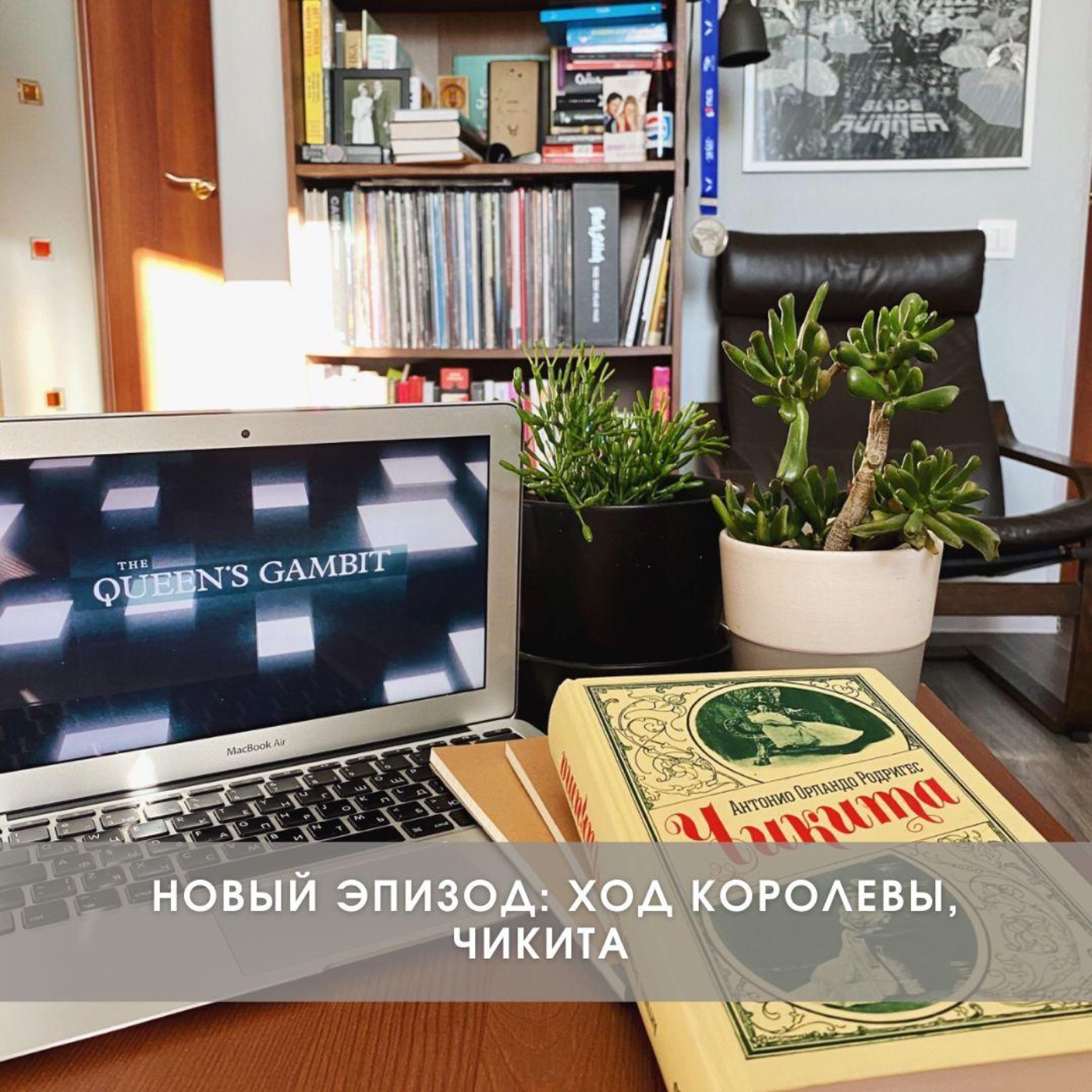 Ход королевы, Чикита 