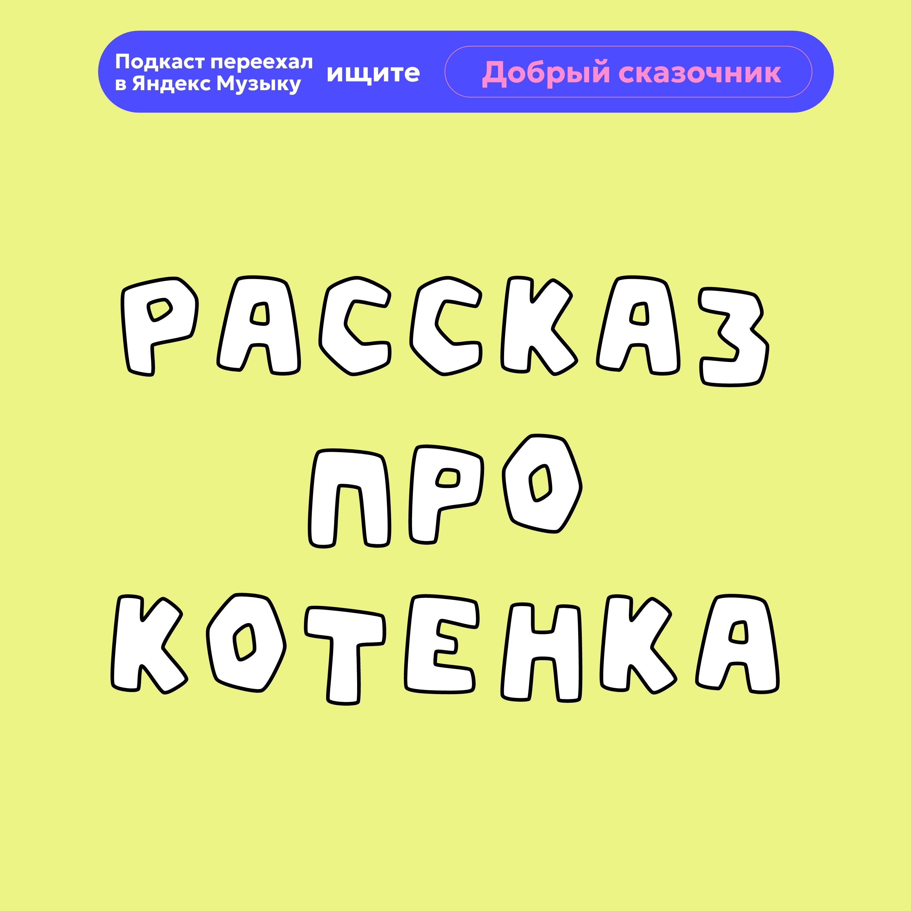 Рассказ про котенка episode artwork