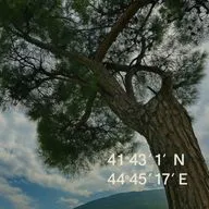 ep1 – 41°43′1″N 44°45′17″E