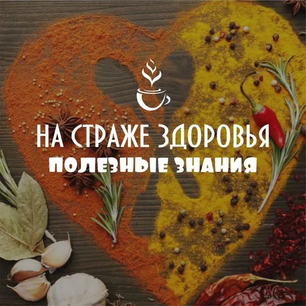 Школа здорового питания