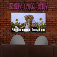 Выпуск 3 - Черная кошка, белый кот