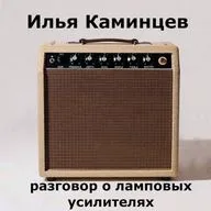 Илья Каминцев разговор о ламповых усилителях