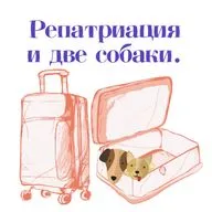 Выпуск #4. Инесса - о том, как переехать в Израиль одной с двумя детьми, чтоб завести двух собак.