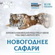 Новосибирские журналисты «поймали» в фотоловушку косулю, оленя, компанию кабанов, белочку и трех тигров