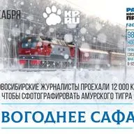 Новосибирские журналисты устроили фотоохоту на тигра