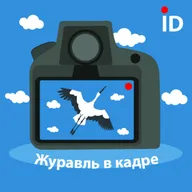 19. «Злость — это сигнальная лампочка на приборной панели»: спокойный эпизод про ярость