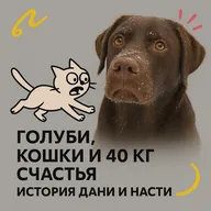 Голуби, кошки и 40 кг счастья. История Дани и Насти