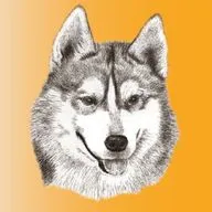 ЛАЙ - Виталий Бианки