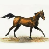 Второе рождение - Ирина Анцупова