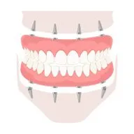 Smile Anatomy