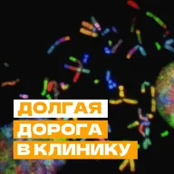 Долгая дорога в клинику