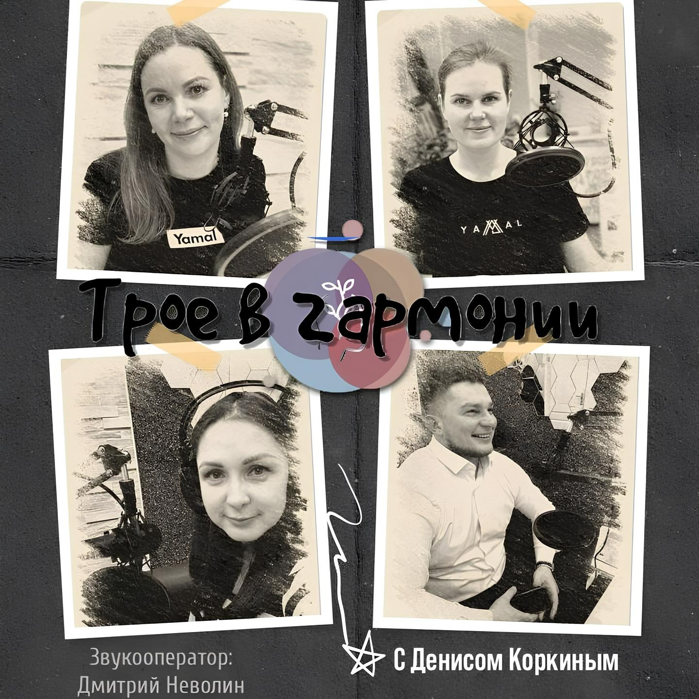 Трое в гармонии (выпуск 6 - встреча с гостем Денисом Коркиным, тренером САМБО) episode artwork